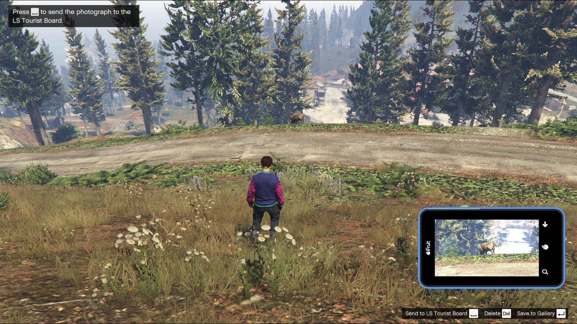 Boar overlooking the Paleto Forest Sawmill.