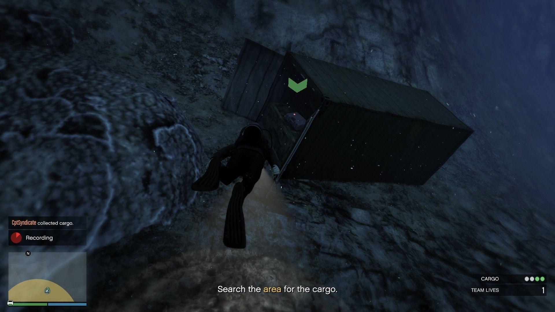 The cargo in the container.