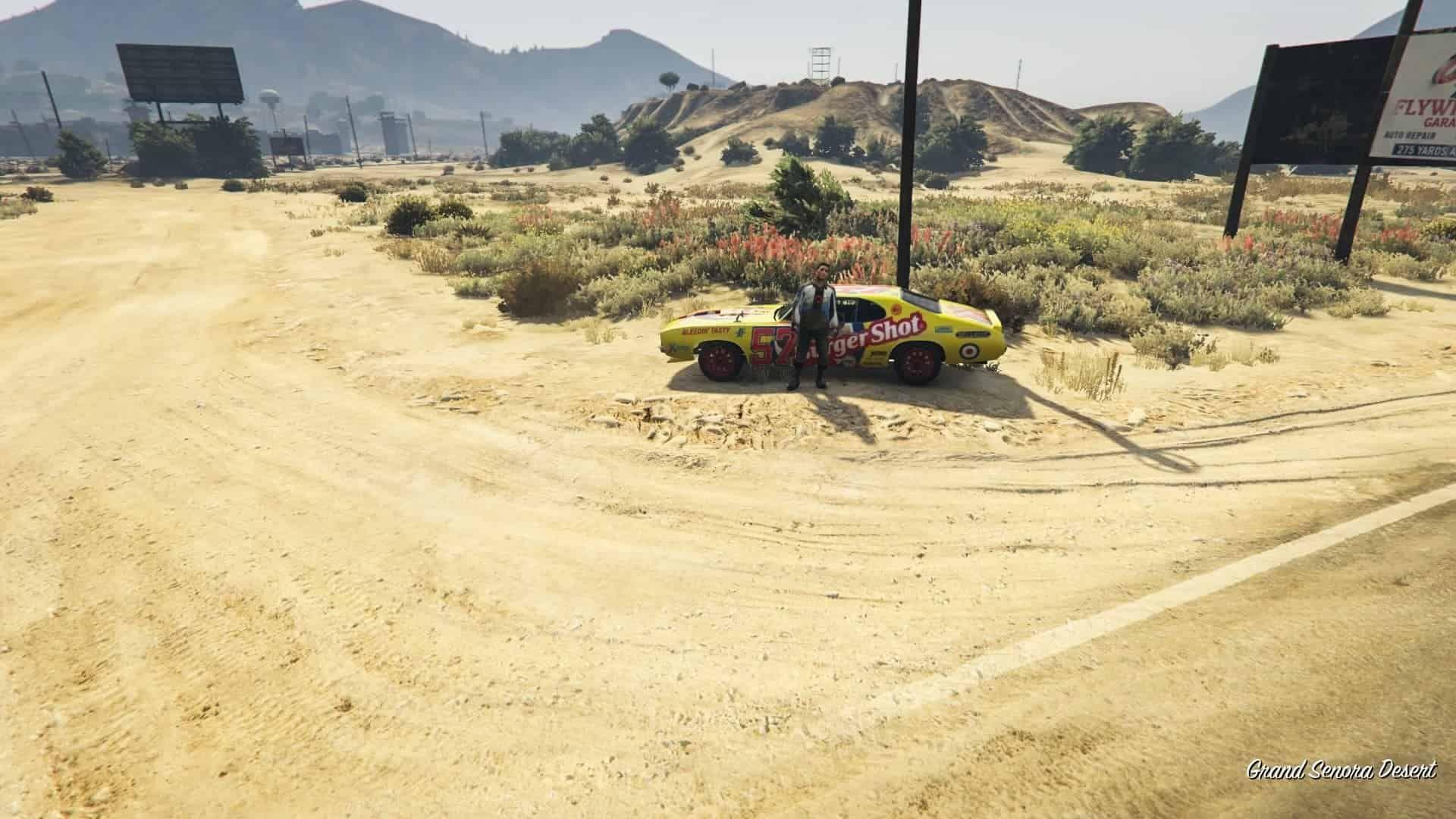 You need to talk to the NPC to start the race.