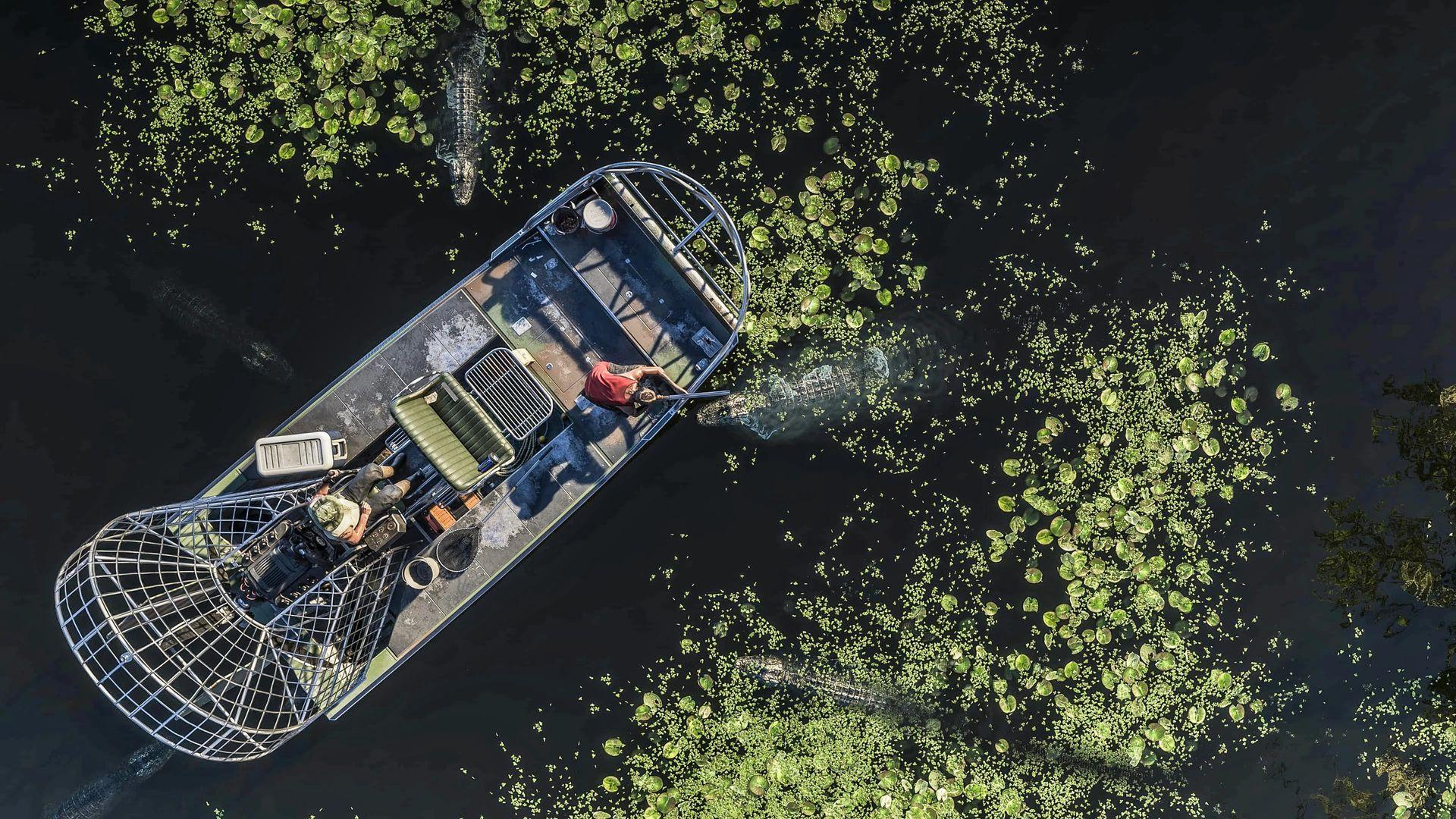 The amount of compromises Rockstar will have to make just for GTA 6 to run on the Switch 2 would be far beyond what the studio would be willing to give up.