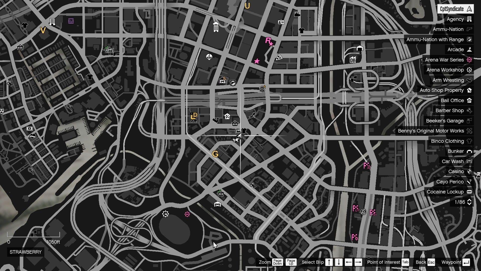 Cat's location on the map.