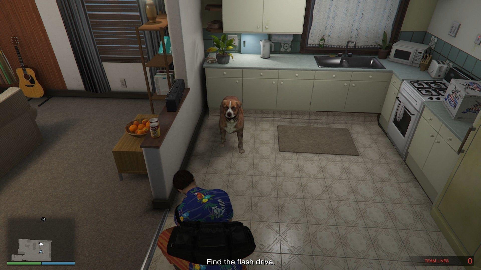 Feeding the dog inside the runner's house.