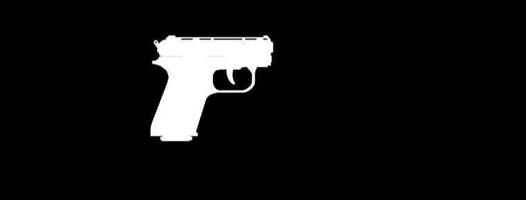 SNS Pistol Mk II preview