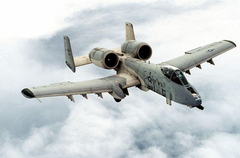 Warthog.jpg